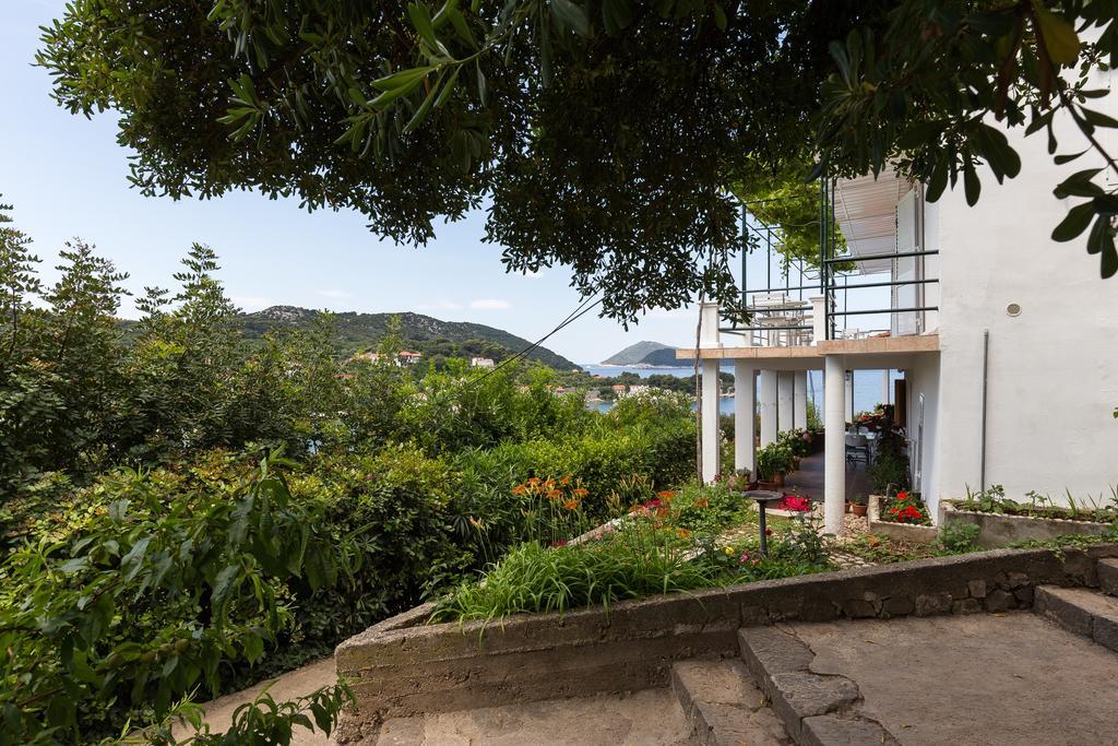 Apartments Miskovic Donje Celo Ngoại thất bức ảnh